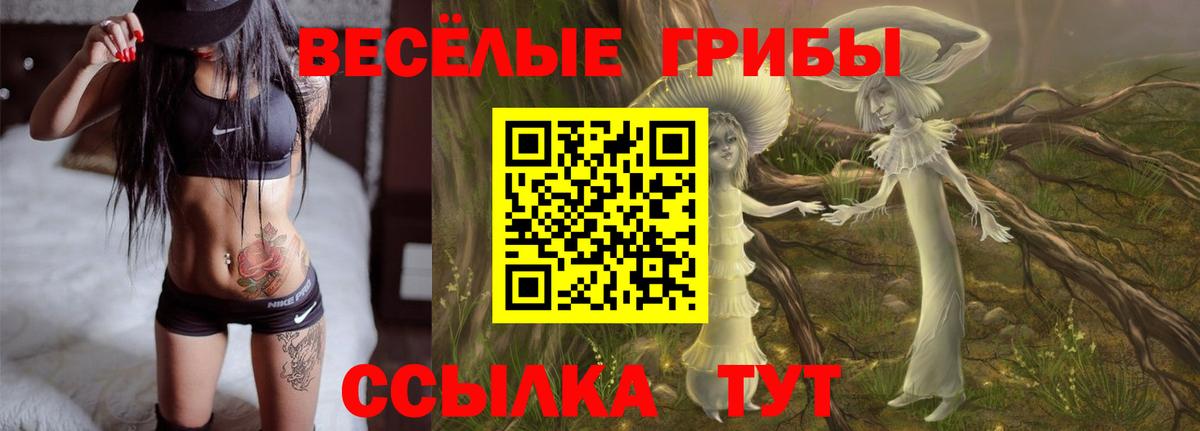 Псилоцибиновые грибы ЛСД  Вход с VPN  Ярцево  дарнет шоп  Галлюциногенные грибы MAGIC MUSHROOMS 
